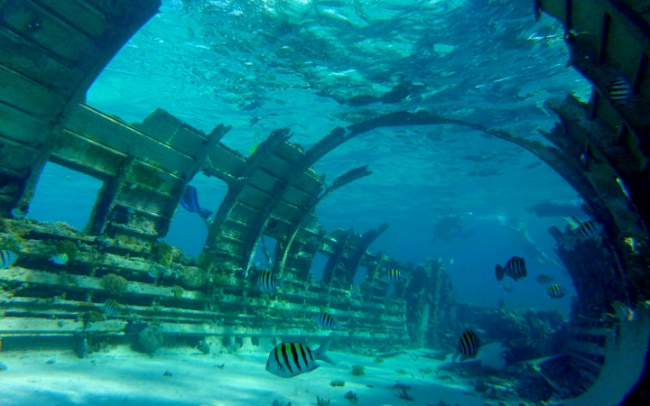 bahamas gap year